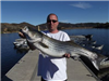 Mac Weakly of Carlsbad, 24 Pounds Striped Bass (Lake Record 12-28-12) caught on a Jig near Trout Cove