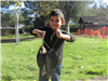 Nate Gushwa (5 years old) with a just shy of a 3 pound stringer of heavy bluegills caught on nightcra
