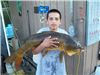 Peter Ortega of Escondido with a 24.25 Pounds carp caught on cornbread from Boat Dock Cove 7-19-12