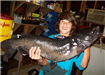 Jed Dickerson Jr., 17 Pounds Catfish caught 8-18-11 on Cut Mackerel
