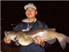 John Thao of San Diego, 9.7 Pounds Catfish caught 7-11-13 on Cut Mackerel near South Shoreline