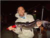 Duc Le of San Diego, 8.1 Pounds Catfish caught on Cut Mackerel from Catfish Cove