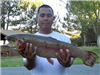 Jose Gurrola of Oceanside, 7 Pounds 8 Ounces Trout caught on Green Mini Jig from Boat Dock Cove