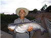 Alfredo Lopez of Escondido, 10.00 pound catfish caught 9-15-19 using mackerel on Senior Shoreline.
