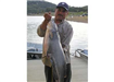 Alfredo Lopez, 24.40 pound Catfish caught 10-24-10 on Chicken Liver on Senior Shoreline