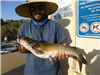 Andres Padilla of Escondido, 4.80 pound catfish caught 9-6-21 using cut mackerel at the South Shore 