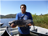 Armando Torres of Escondido, 21.10 pound catfish caught 9-2-19 using a nightcrawler on Senior Shorel
