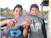 Asael Ramos of Vista, 5.20 pound catfish caught in Boat Dock Cove 1-12-18 using shrimp.