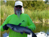 Bill Groves of Fallbrook, 7.00 pound catfish caught 1-14-23 using chicken at the west buoys.