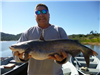 Bill Long of Vista, 5.70 pound catfish caught 2-12-17 using powerbait near Crappie Rock.
