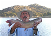 Blas Romero of Escondido, 8.50 pound Blue Catfish caught and released 9-07 on Chicken Liver west of 