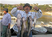 Blas Romero of Escondido, Stringer of 5 Catfish (16.62 pound) caught 10-28-07 on Chicken Liver near 
