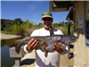 Bruce Bowers of San Diego, 8.40 pound catfish caught 4-10-18 using cut bait on Senior Shoreline.