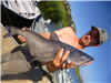 Cameron Gruwell of Escondido, 9.40 pound catfish caught 8-26-18 using cut mackerel at the West Buoy 