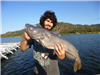 Elliot Berquist of Escondido, 11.60 pound catfish caught 7-30-17 using cut mackerel at the West Buoy