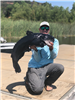 Eric Risen of La Jolla, 32.50 pound Blue Catfish caught 8-28-20 using a jerk-bait off Twin Peaks.