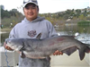 Fanta Phanthilath of Escondido, 19.95 pound Catfish caught 12-21-12 on Mackerel at West Bouy LIne