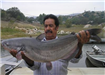 Francisco Rios of Escondido, 20.56 pound Catfish caught and released 10-27-07 on Chicken Liver at We