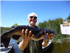 Hoyt Curtis of Menifee, 10.60 pound catfish caught 4-17-19 using cut mackerel in Oakvale Cove