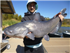 Jesse Jurado of San Diego, 12.40 pound Catfish caught and released 11-12-22 using a Coolbait near th