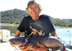 Jim Knight of Escondido, 17.60 pound Catfish caught 10-8-11 using Mackerel at South Shore Rockpile