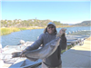 Keo Phantiroth of Escondido, 11.10 pound catfish caught 1-26-16 using cut mackerel west of Senior Sh