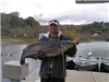 Keo Sitth of Escondido, 33.70 pound Blue Catfish caught 12-26-12 on mackerel at West Buoys.