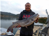 Long Moua of San Diego, 1830 pound catfish caught and released 1-17-22 using cut mackerel at West Bu