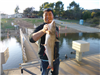 Long Tran of San Diego, 5.60 pound catfish caught 2-15-23 using chicken liver near the Crappie Float