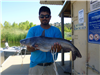 Luis Ramirez of Pala, 9.50 pound catfish caught 8-19-18 using cut mackerel at the west buoys.