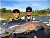 M.Azuma of Encinitas, 22.40 pound catfish caught 1-21-13 using cut mackerel at West Buoy Line.
