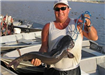 Matthew Sanger of Valley Center, 14.37 pound Catfish caught 7-4-08 on Cut Mackerel off South Shore R