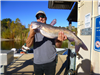 Michael Lopez of Lakewood Ca. 7.90 pound catfish caught 12-13-18 using a jig on Senior Shoreline