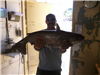Mike Hernandez of Valley Center, 9.60 pound catfish caught and released 9-29-18 using a crankbait of
