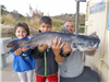 Nico Genis of Valley Center, 18.30 pound catfish caught 12-20-22 using a night crawler power bait combo