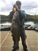 Paul Eddo of Escondido, 44.50 pound Blue Catfish caught 10-23-16 using cut mackerel off South Shore 
