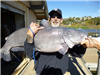 Paul Voytko of Vista, 49.30 pound catfish caught 11-29-14 using cut mackerel off South Shore Rock Pi