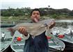 Phil Cambell of Escondido, 8.81 pound Blue Cat caught 4-17-04 on Shiner on South Shore Rockpile