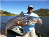 Robert Wade of Poway, 40.15  pounds catfish caught and released 10-6-13 on a jig off the South Shore