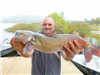 Terry Weight of Escondido, 6,50 pound catfish caught 6-11-23 using a nightcrawler in Oakvale Cove.