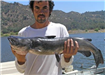 Victor Oregon of Escondido, 12.12 pound Catfish caught 8-12-09 on Cut Mackerel at Bass Point