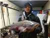 Vue Xiong of Sand Diego, 10.90 pound catfish caught 12-11-21 using shrimp at the West Buoy Line