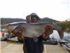 Xai Xiong, 12.20 pound catfish caught 12-27-22 using shrimp at the west buoys.