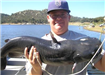 Adam Crnkovic, 15.25 pound Channel Catfish caught 8-6-09 on Hot Dog at Oakvale Cove