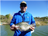 Curtis Larson of Temecula, 1.30 pound crappie caught 31222 using a mini-jig in Boat Dock Cove pier 2