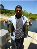 David Lopez of Escondido, 2.05 poundand2.00 pound Crappie caught 4-27-13 using live golden shiners a