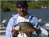 David Lopez of Escondido, 2.25 pound Crappie caught 5-5-12 on live golden shiner in Boat Dock Cove