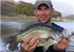 Eugene Cikanek of San Diego, 2.75 pound Crappie caught 4-16-07 on Green and White Trout Teaser off S