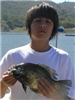 Isaac Weight of San Pasqual, 1.85 pound Crappie caught 4-22-12 on a roostertail in Willow Cove