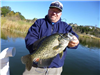 James Bon of Green Valley Lake, 2.55 pound crappie caught 1-14-17 using a mini-jig at the West Buoy 